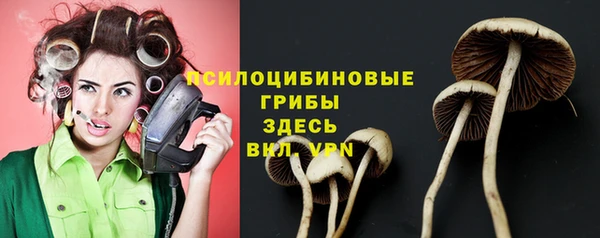 соль курить ск Абаза