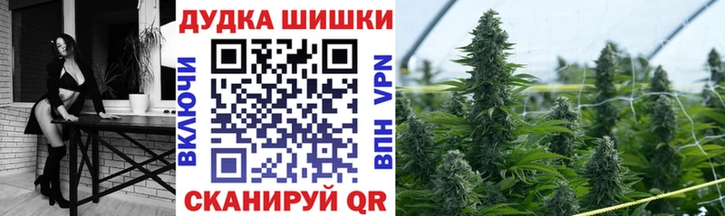 где купить   Монино  Каннабис White Widow 